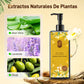 🌿Tinte Capilar Nutritivo a Base de Plantas