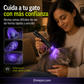 Luz multifuncional para la detección de enfermedades cutáneas en mascotas