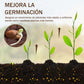 🔥COMPRA 1 Y LLÉVATE 1 GRATIS🔥Promoción de temporada: Activador Soil Pro