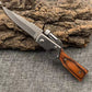Cuchillo Plegable Portátil de Acero Inoxidable para Exterior 🗡️