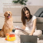 🐱🐶2-en-1 Juguete Rompecabezas Interactivo para Perros y Comedero Lento（50% DE DESCUENTO）💖