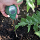 🌱 Medidor Profesional de Humedad del Suelo para Plantas - imagen 4