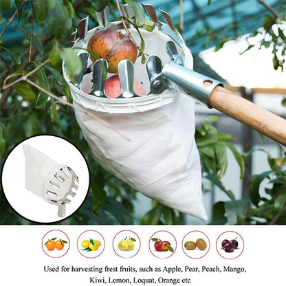 Cesta para recolectar fruta