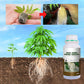 🌱 ¡COMPRA 2 LLEVA 3! ✨ Fertilizante de Enraizamiento Rápido - Estimula el Crecimiento de Raíces Fuertes en Plantas y Esquejes 🌿🔬