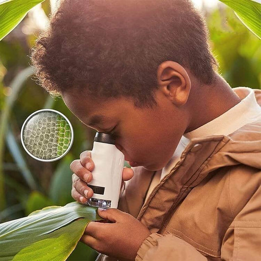 🔥 49 % de descuento: microscopio de bolsillo portátil para niños