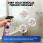 ⏳🔥¡50 % DE DESCUENTO POR TIEMPO LIMITADO! ⏰ Limpiador de Baño – Disuelve la cal y el moho, inhibe su reaparición. Baño reluciente – ¡consigue el tuyo! ✅