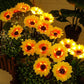 ☀️ Luces solares impermeables de girasol – Pétalos realistas, impermeabilizantes IP65 y resplandor ☀️🌻 automático 8–12 horas