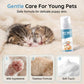 Shampoo en Espuma para Baño en Seco para Perros y Gatos