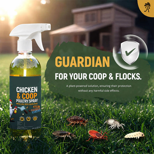 Spray natural para la limpieza de gallinero