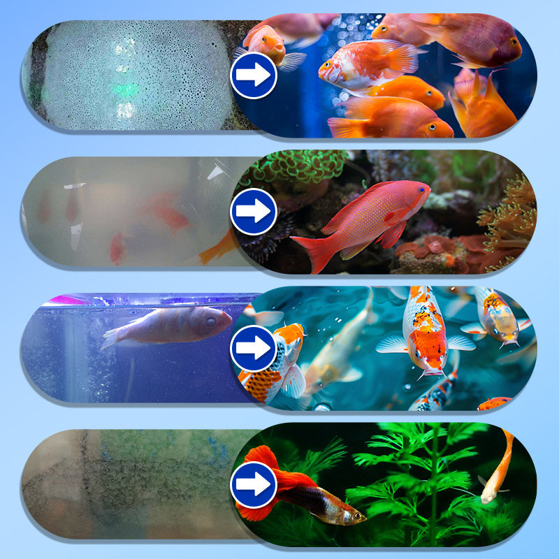 🐠 Purificador de Agua para Acuario - imagen 2