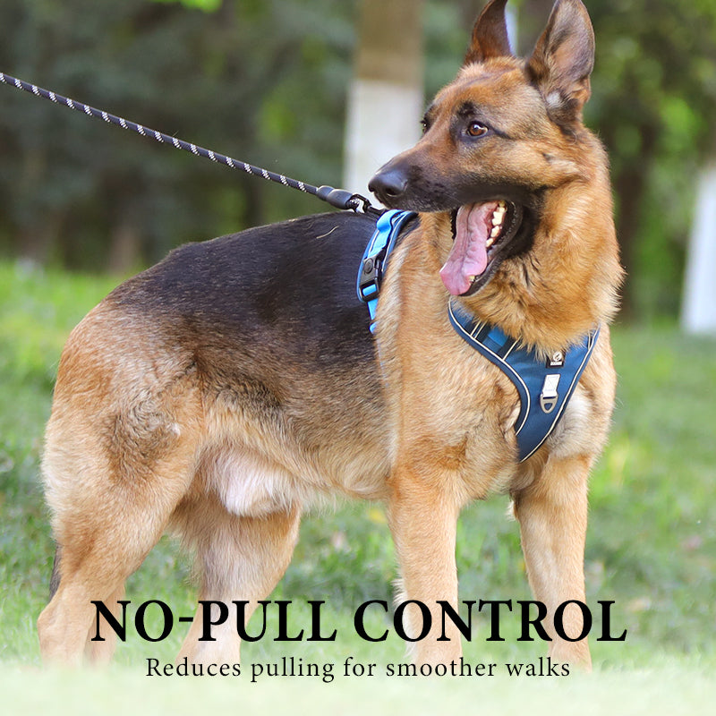 Arnés Antitirones para Perro con Correa y Collar LED - imagen 1