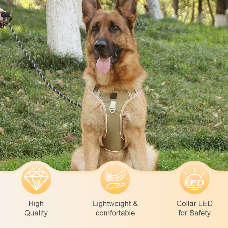 Arnés Antitirones para Perro con Correa y Collar LED - imagen 2