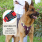 Arnés Antitirones para Perro con Correa y Collar LED - imagen 3