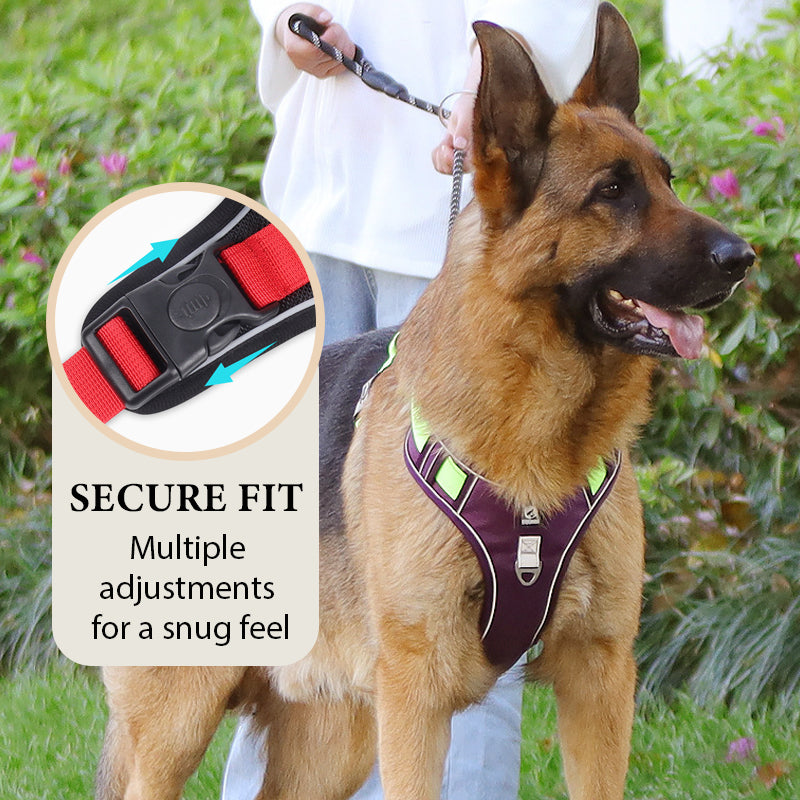 Arnés Antitirones para Perro con Correa y Collar LED - imagen 3