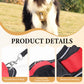 Arnés Antitirones para Perro con Correa y Collar LED - imagen 4