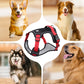 Arnés Antitirones para Perro con Correa y Collar LED - imagen 5