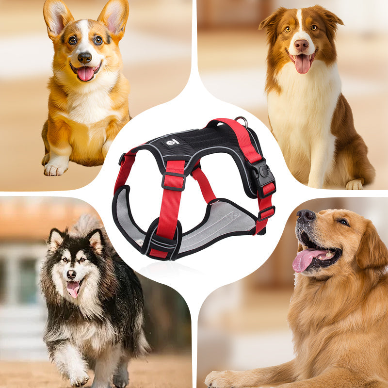 Arnés Antitirones para Perro con Correa y Collar LED - imagen 5